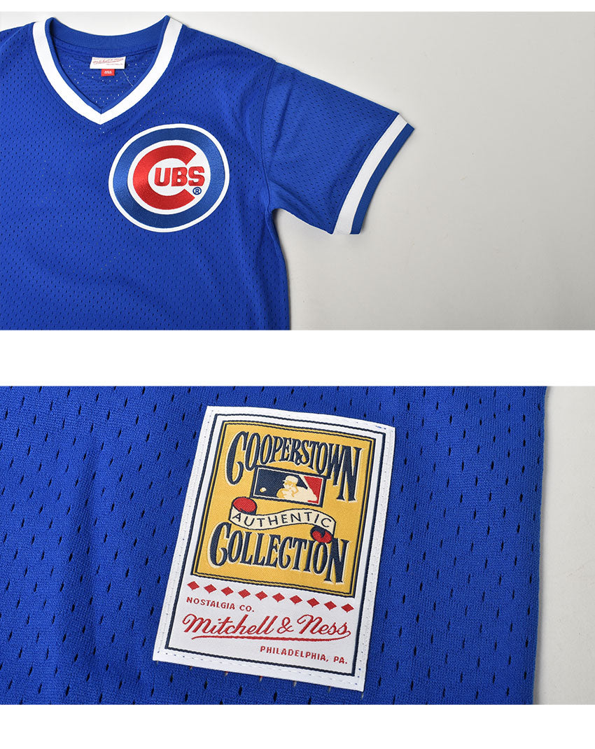 Shop Mitchell & Ness Chicago Cubs Andre Dawson 1987 Authentic Jersey  ABPJ3075-CCU87ADAROYA blue